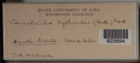 Image Associated With the Occurence